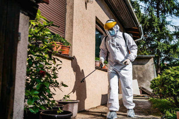 Best Affordable Pest Control Services  in Brockton, MA