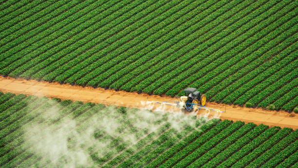 Best Commercial Pest Control Services  in Brockton, MA