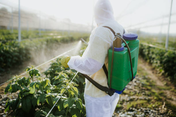 Best Exterminator Services  in Brockton, MA